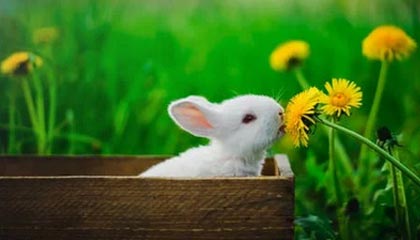 必赢体育官方入口-杀人看表！利拉德61分生涯新高 11记三分射穿勇士